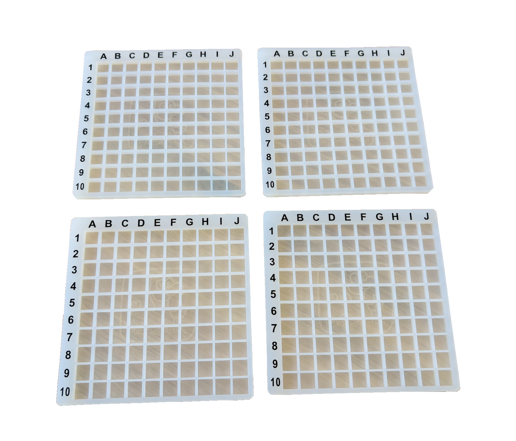 4 Gitter mit Markierungen 10x10